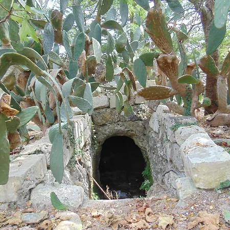 Guest house Vacanze Al Minci Giurdignano