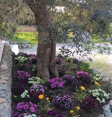 Vacanze Al Minci Giurdignano