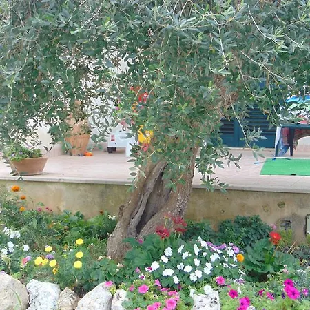 Affittacamere Vacanze Al Minci Giurdignano