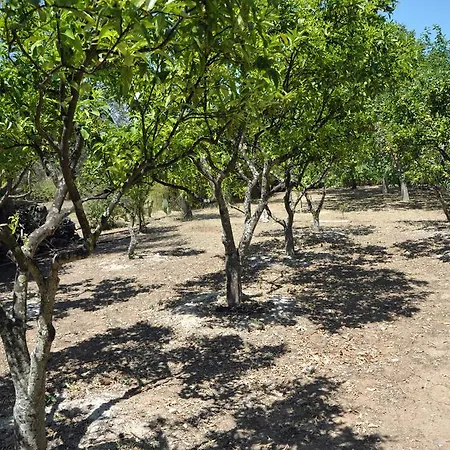 Vacanze Al Minci